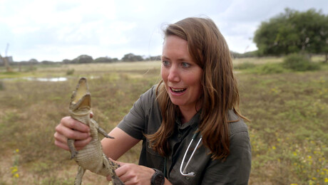 Dierendokter in het wild